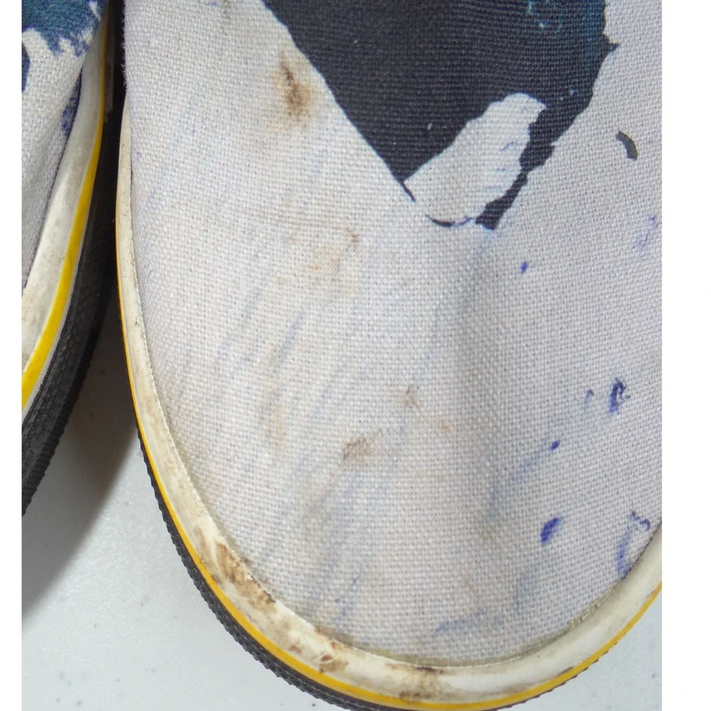 Vans‎ x National Geographic Slip-On Greenland Glacier Shoes Mens 6 Womens 7.5